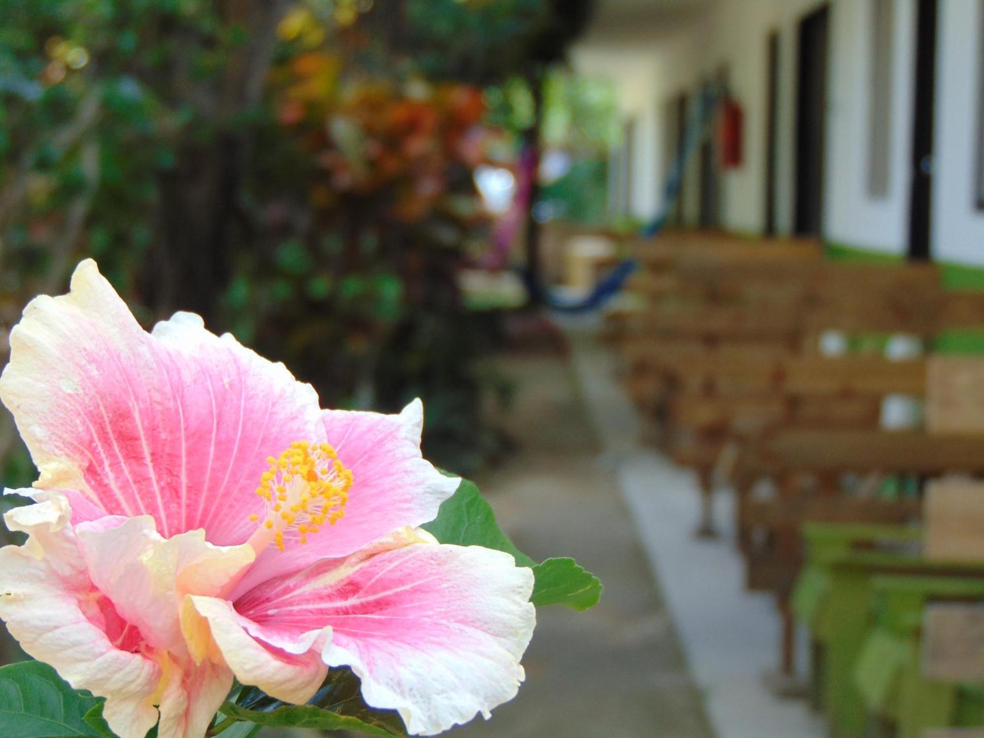 Crucero Tulum Bed and Breakfast Εξωτερικό φωτογραφία